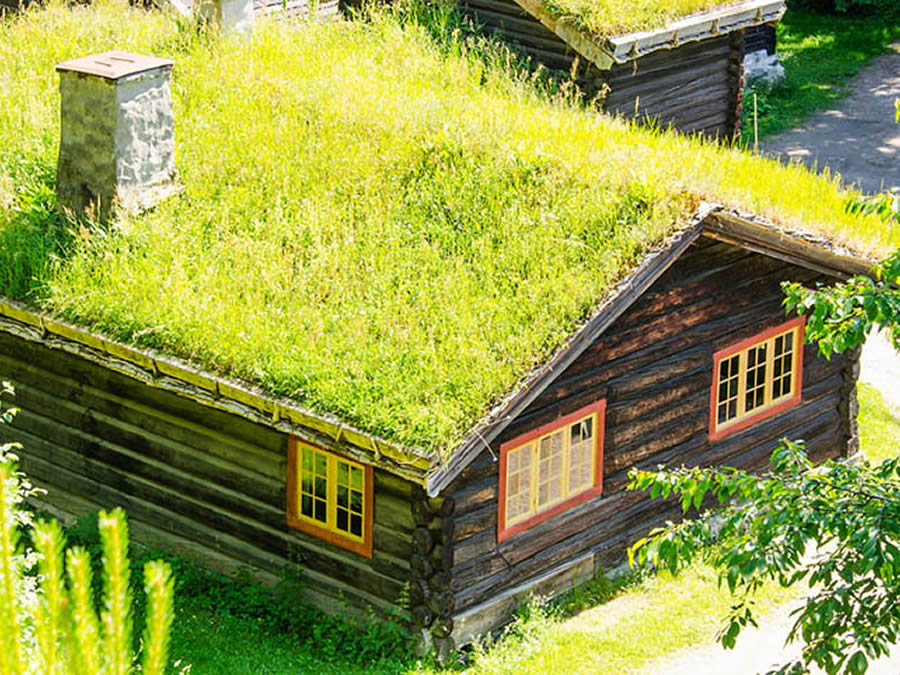 Embracing Nature from the Top Down: Green Roof Solutions for Log Cabins