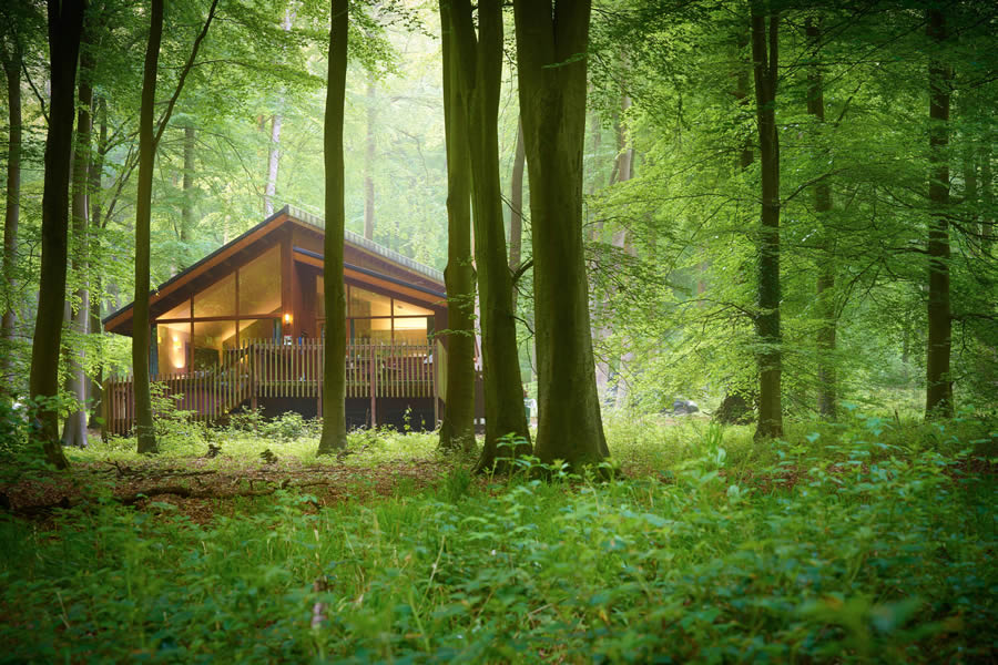 Introducing Multi-Room Log Cabins