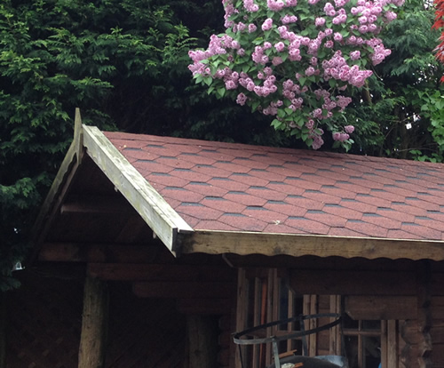 Cleaning Felt Shingles