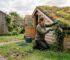 Homeowner tending sedum green roof on cabin
